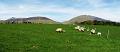 Rondje Lake District op 3-5-2012 (196)